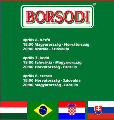 Borsodi Futsal Cup 2009