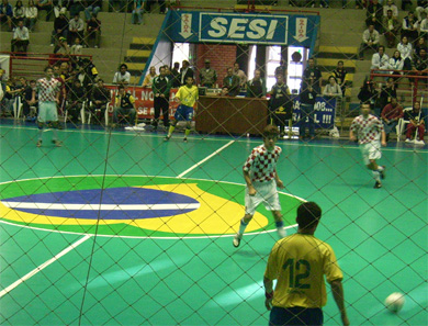 Falco waiting for the ball... (Photo courtesy: Mateus Comberlato)