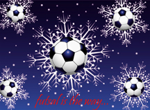 Merry Christmas and Happy New Year from Futsalplanet.com