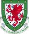 Welsh FA