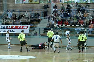 Hungarian Cup Final (Photo courtesy: Miklos Biszkup)