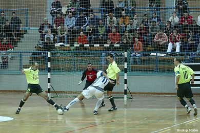 Hungarian Cup Final (Photo courtesy: Miklos Biszkup)
