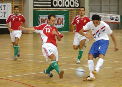 Hun vs Ned 2-1 (Photo courtesy: Gabor Suti)
