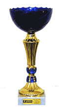 Joma Cup 2006
