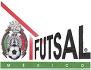 Liga Metropolitana de Futsal