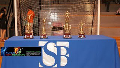(Photo courtesy: Fernando Perez Chavez - Futsal Mexicano)