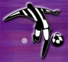 Ontario Futsal Federation logo ...