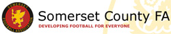 Somerset Adult Futsal League (Male) 2009