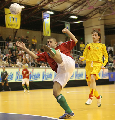 Hungary vs Macedonia 3-0 (Photo courtesy: Miklos Biszkup)