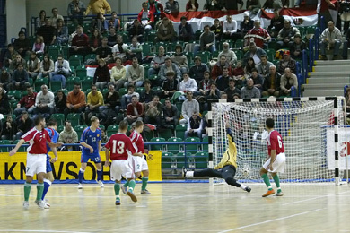 Russia vs Hungary (Photo courtesy: Miklos Biszkup)